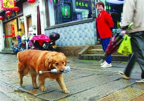 2025年1月4日 第11页